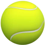 Professional Coaching Tailored to Your Level